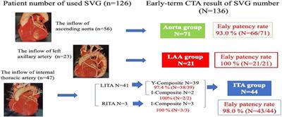 The left axillary artery is a reasonable option as the inflow site for saphenous vein graft in minimally invasive coronary artery bypass grafting